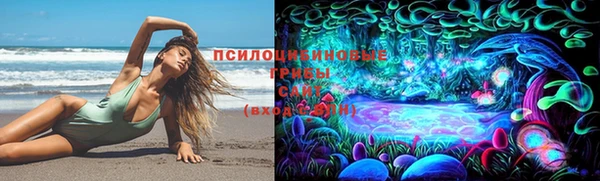 ПСИЛОЦИБИНОВЫЕ ГРИБЫ Бронницы