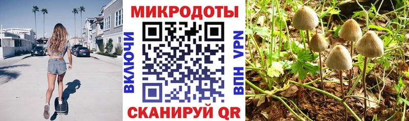 Псилоцибиновые грибы Psilocybe  сколько стоит  Касимов 